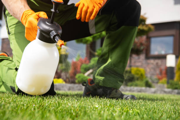 Best Pest Removal Services  in Clio, MI