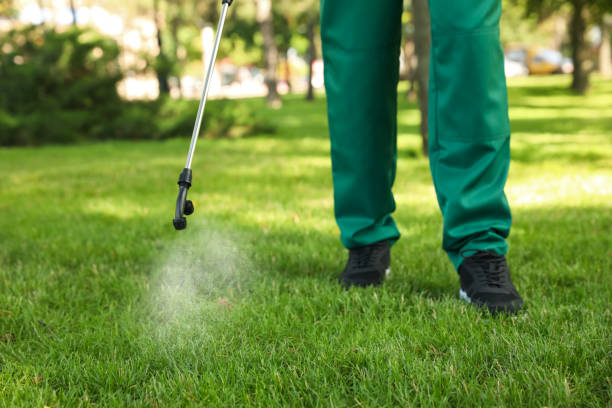 Best Best Pest Control Companies  in Clio, MI
