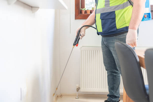Best Local Pest Control Services  in Clio, MI