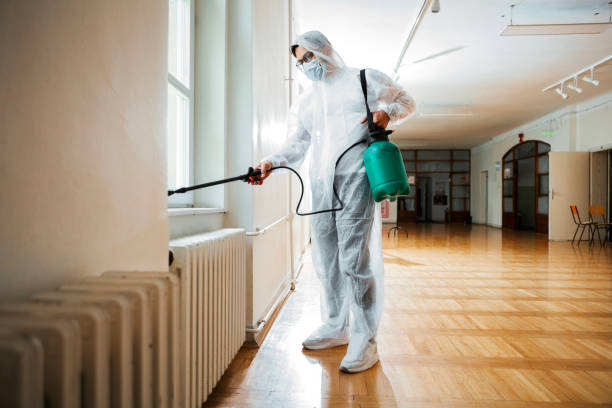 Best Flea Control Services  in Clio, MI