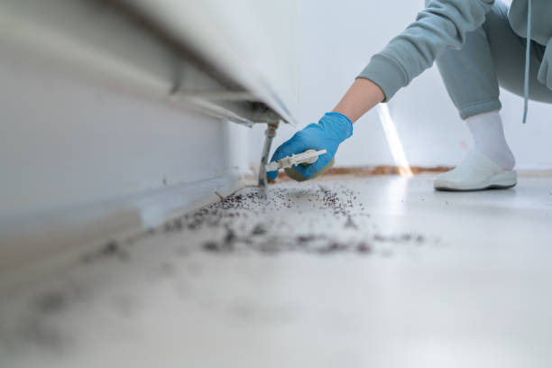 Best Pest Inspection Near Me  in Clio, MI